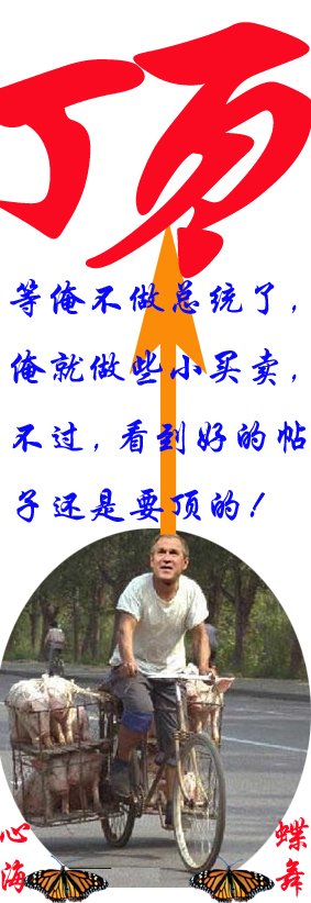 2456177_67491.55.jpg