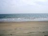 IMGP0031.JPG