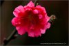 PICT9897.jpg