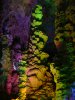 DSC01098.JPG