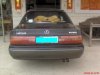DSC00166.JPG