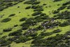 DSC02383.jpg
