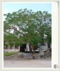 DSC00347.jpg
