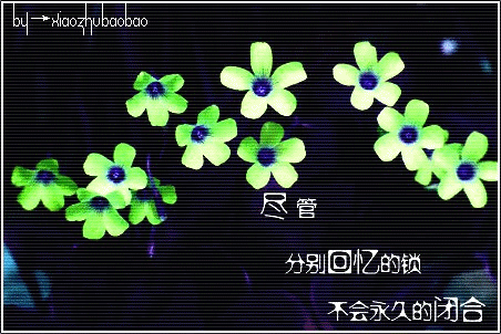 248.gif