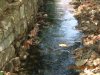 DSCN1135.JPG