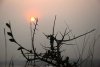 DSC_0078.jpg