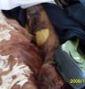 ooSDC10226.jpg