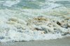 琼脂玉浆.jpg