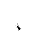 av-52498.gif
