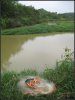IMG_3410.jpg