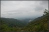 DSC_2534.jpg
