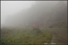 DSC_7971.JPG
