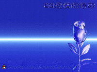 3.gif