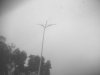 IMG0243A.jpg