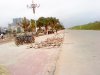 DSC05753.jpg
