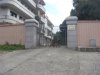 DSC07441.jpg