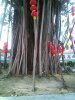 IMG_20150220_174055.jpg