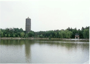 lake5.gif