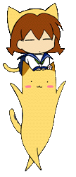 1.GIF