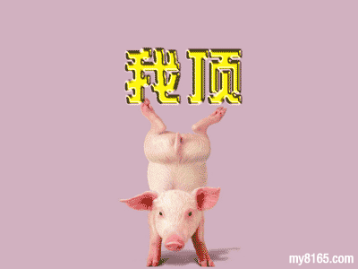 news_2004102320501.gif