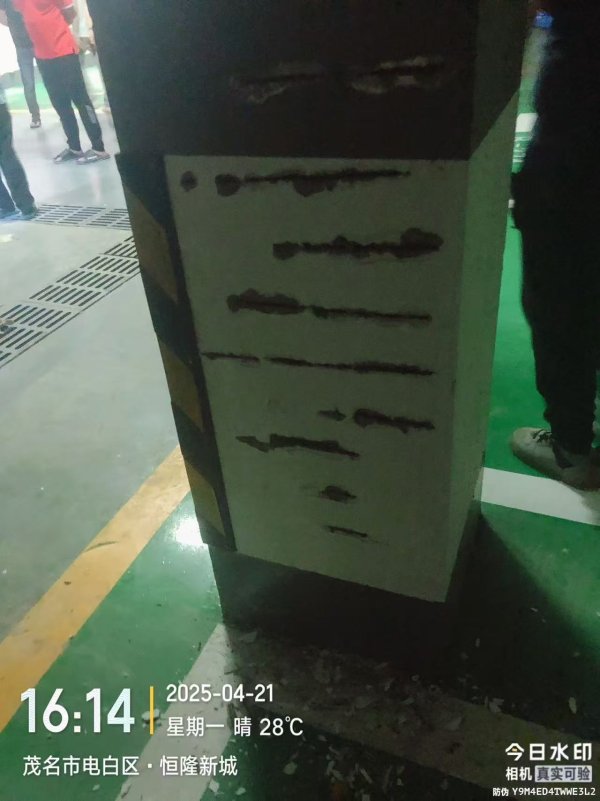 1001.jpg