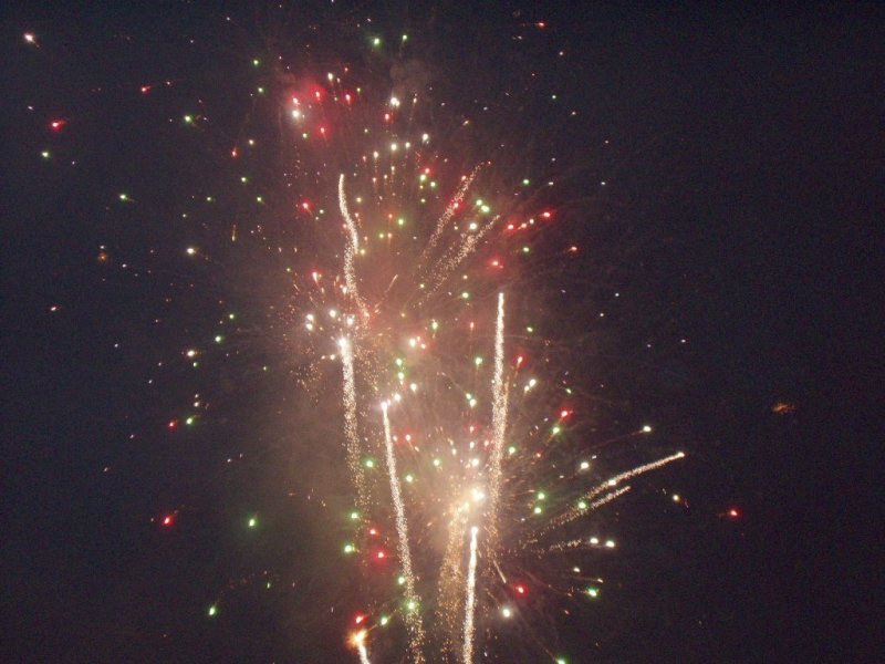 P001.JPG