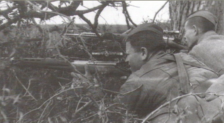 2005118104019_svt_snipers.jpg