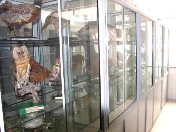 piczhaosheng0019.jpg