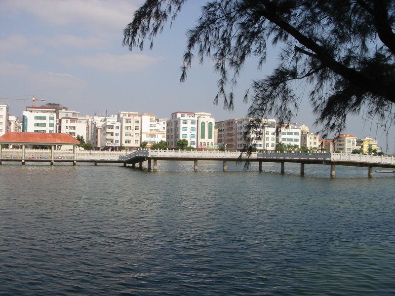 DSC01672.JPG
