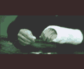 av-889.gif