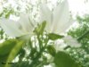 DSC00324.JPG