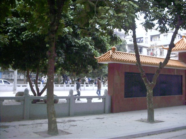 IMAG0197.JPG