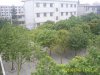 S5022055.JPG