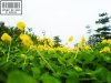 DSC00882.JPG