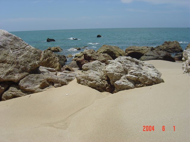 DSC01263.JPG