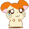 b38.gif
