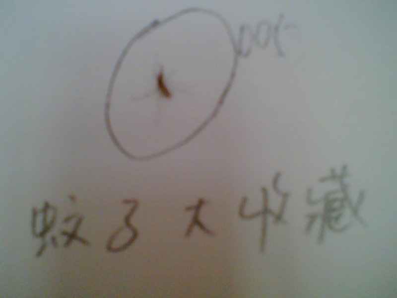 Image(188).jpg