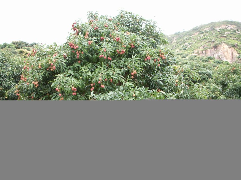 PICT0002.JPG