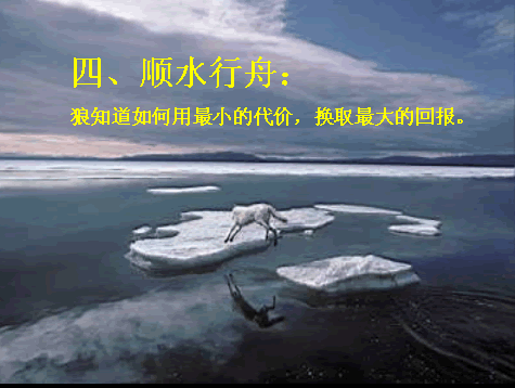 5.gif