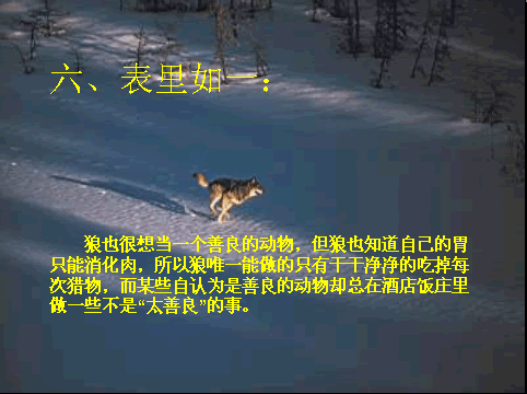 7.gif