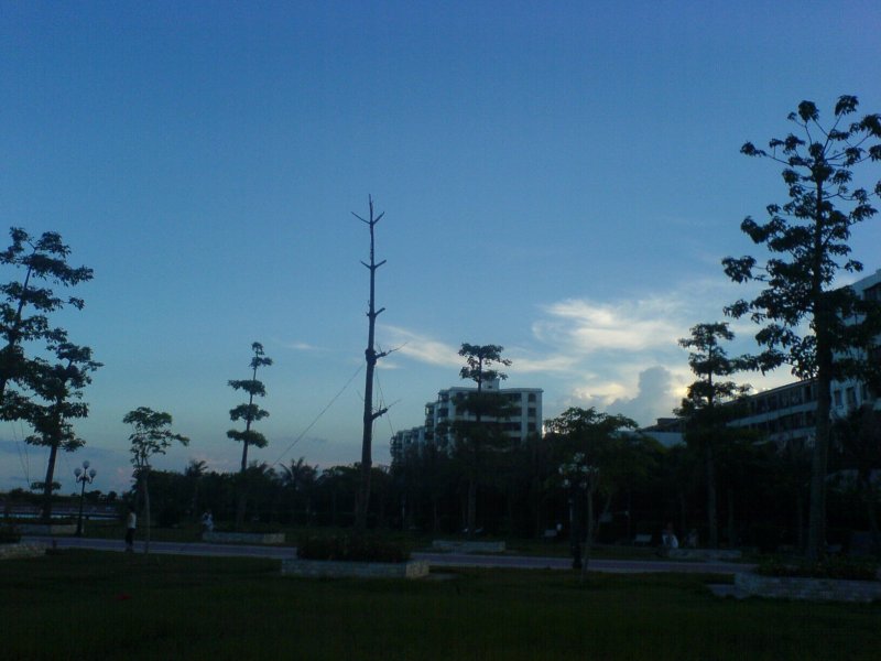 DSC01511.JPG