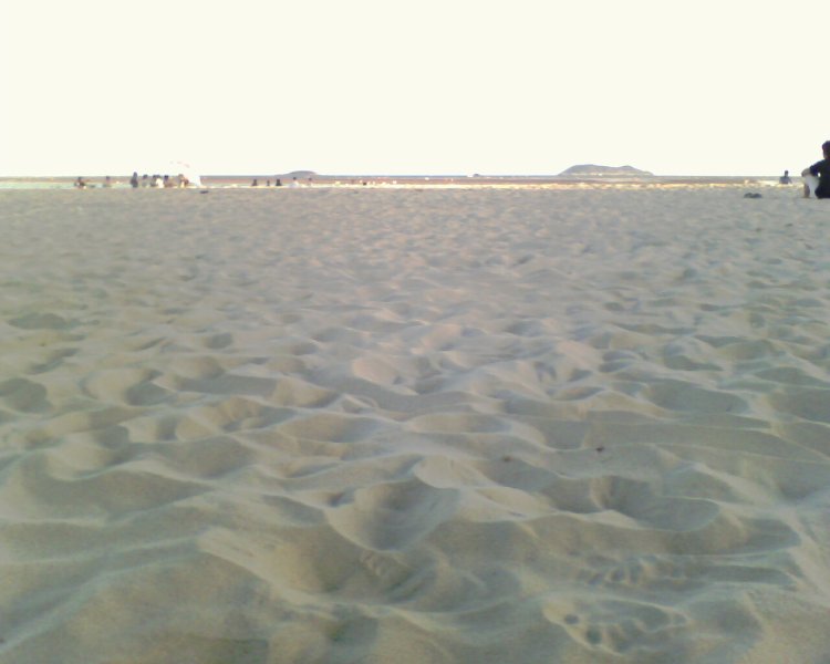 IMG0111A.jpg