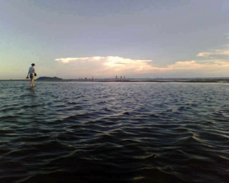 IMG0099A.jpg