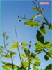 DSC01708.jpg