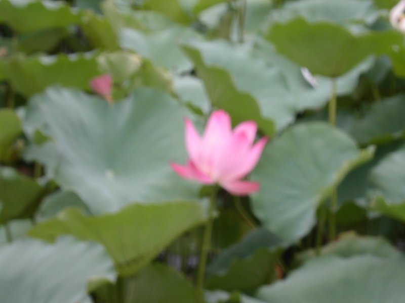 PICT0021.JPG