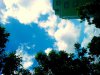 DSC02704.JPG