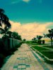 DSC02716.JPG