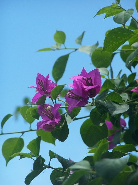 100_4248.JPG