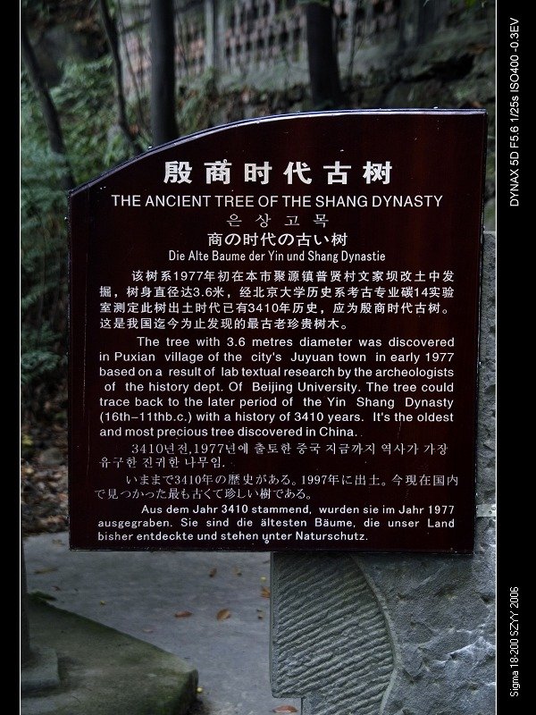 PICT1170.jpg