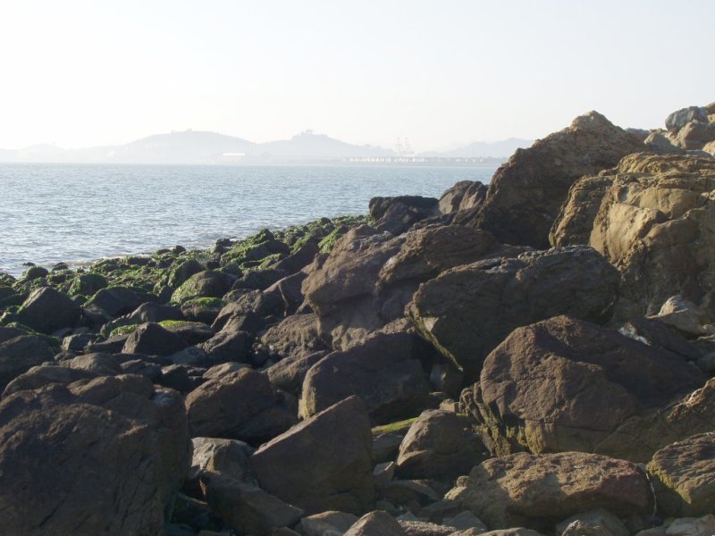 P7.jpg